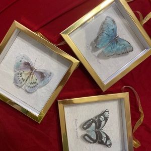 Butterfly wall decor
